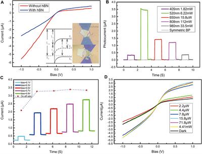 Visible to Mid-infrared Waveband Photodetector Based on Insulator Capped Asymmetry Black Phosphorous